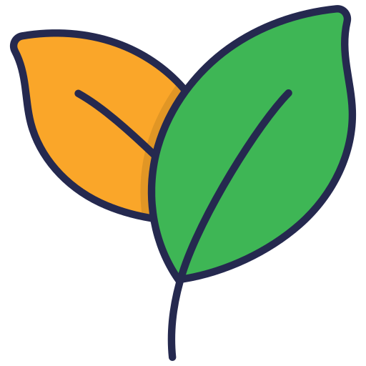 🌿 Fórmula con extractos naturales